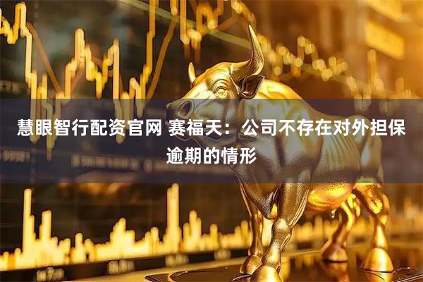 慧眼智行配资官网 赛福天：公司不存在对外担保逾期的情形