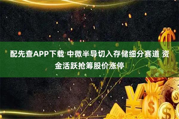 配先查APP下载 中微半导切入存储细分赛道 资金活跃抢筹股价涨停